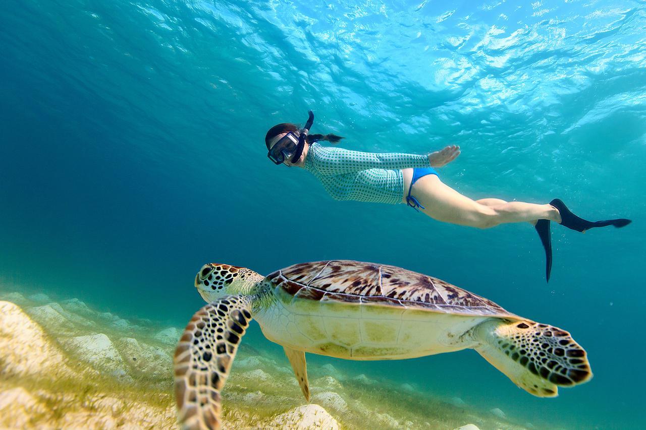 Seadina Coral Home 马特勒 外观 照片