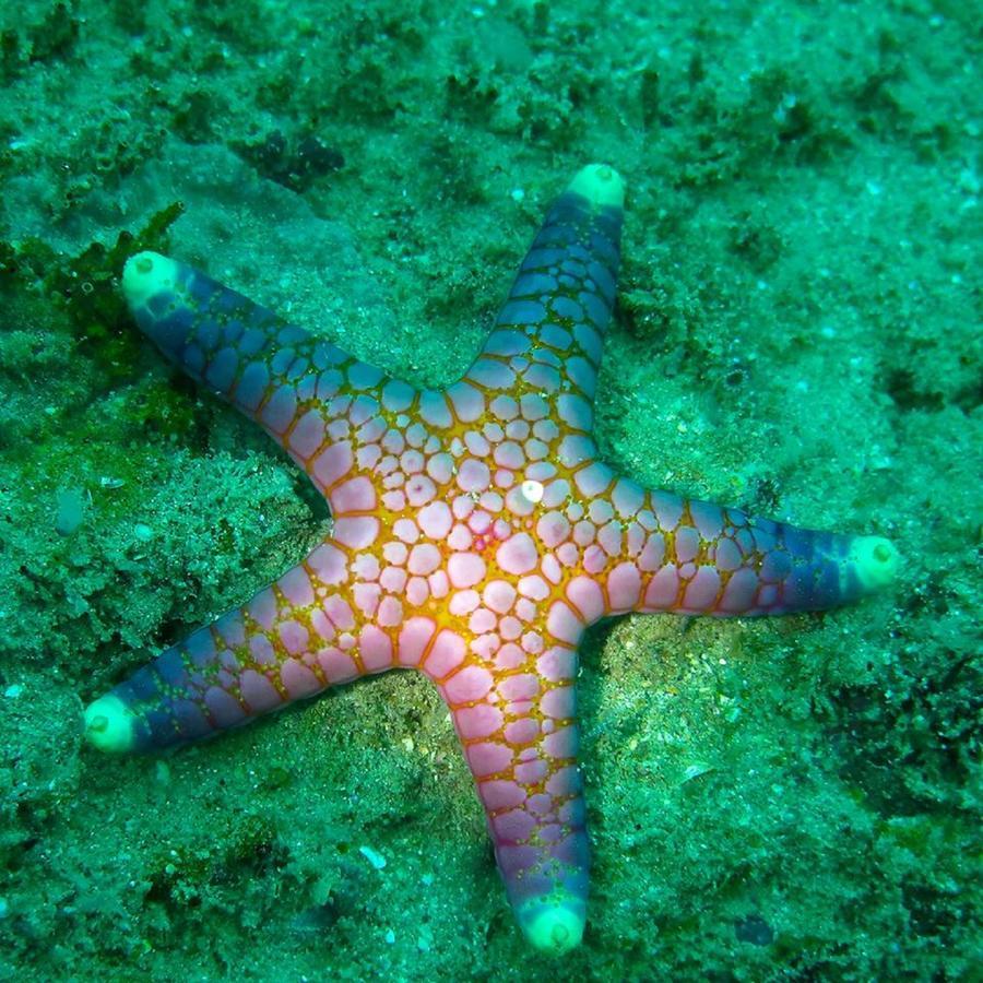 Seadina Coral Home 马特勒 外观 照片